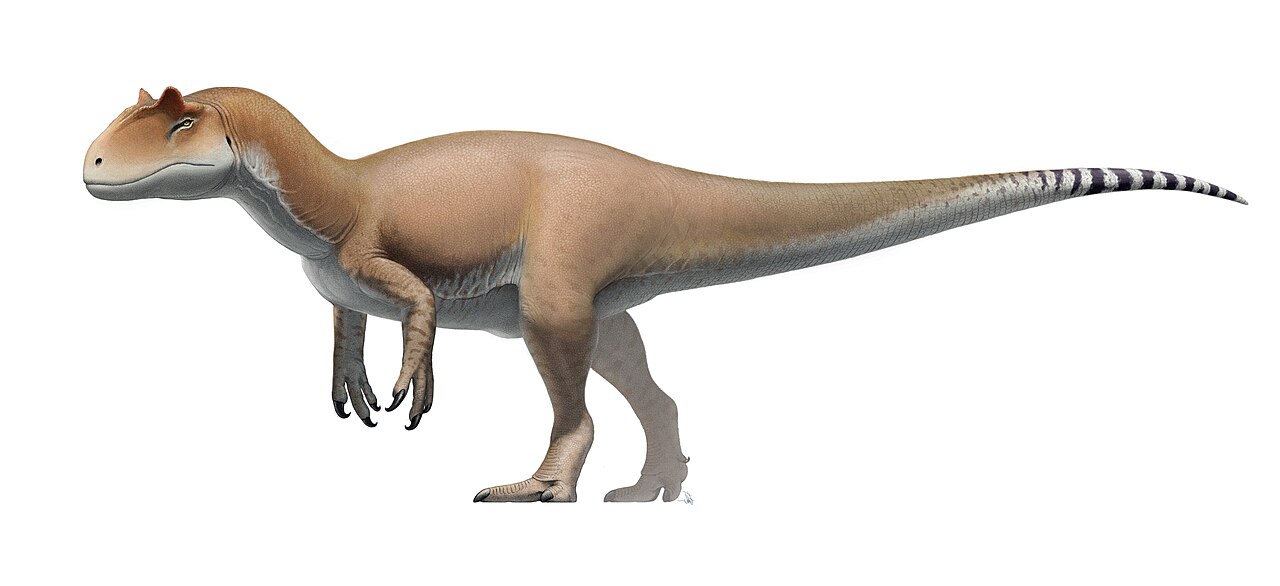 Allosaurus
