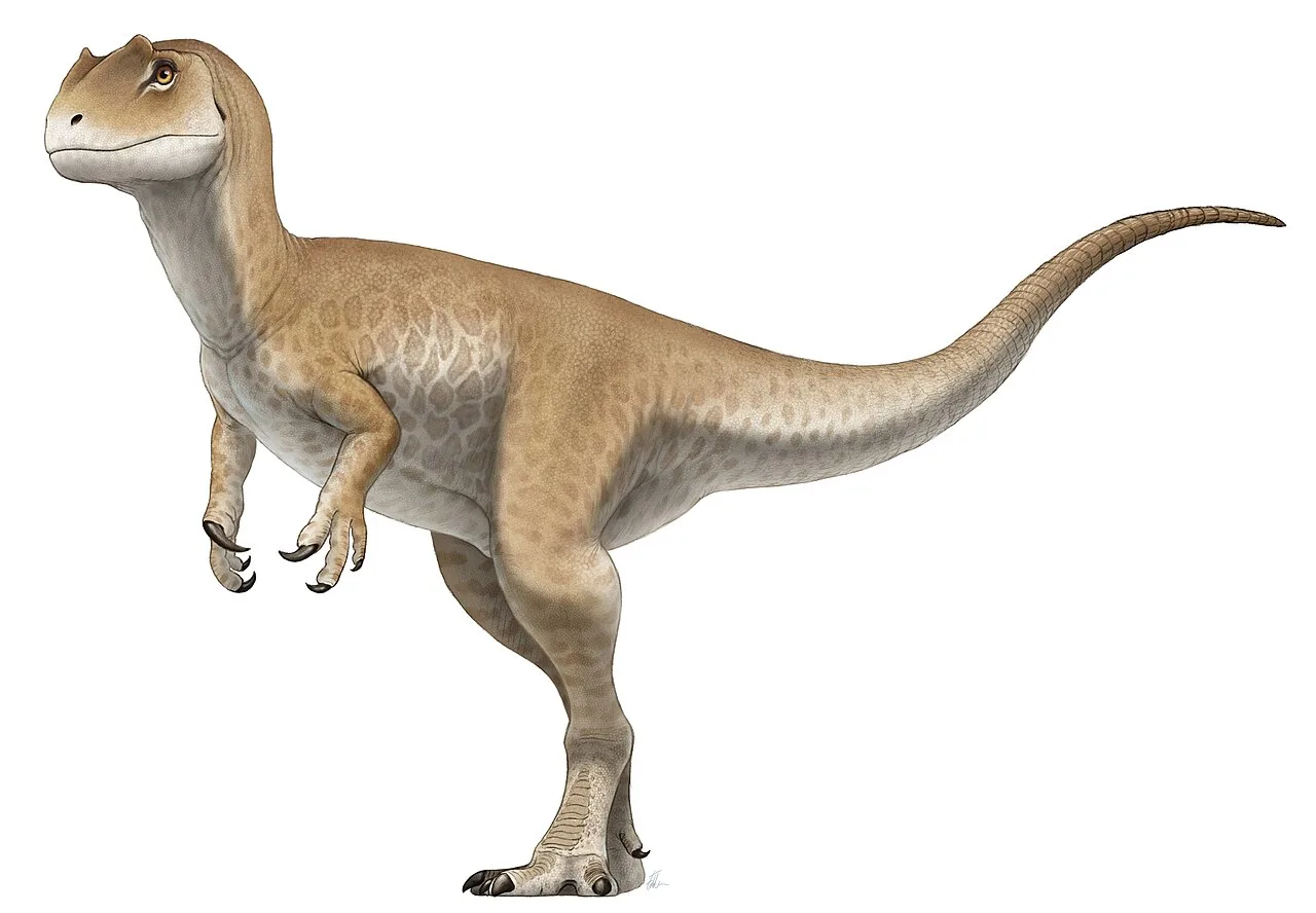 Allosaurus
