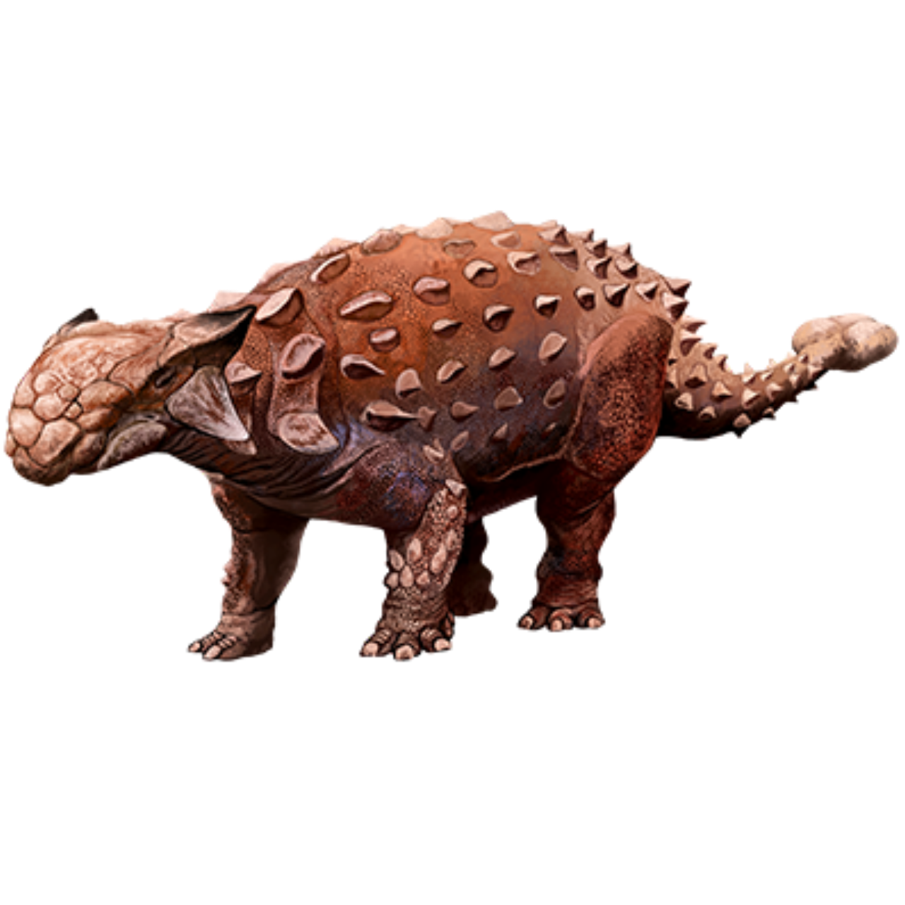Ankylosaurus