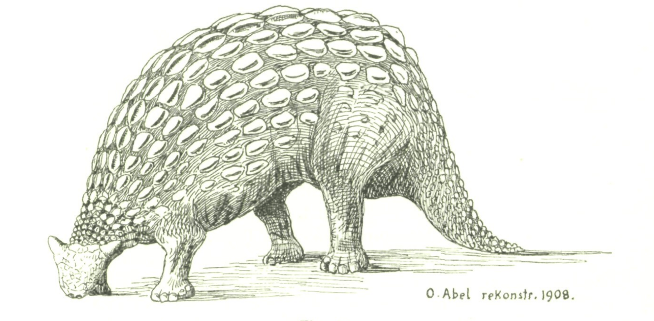 Ankylosaurus