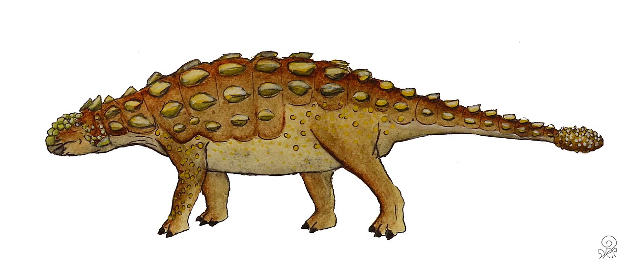 Ankylosaurus