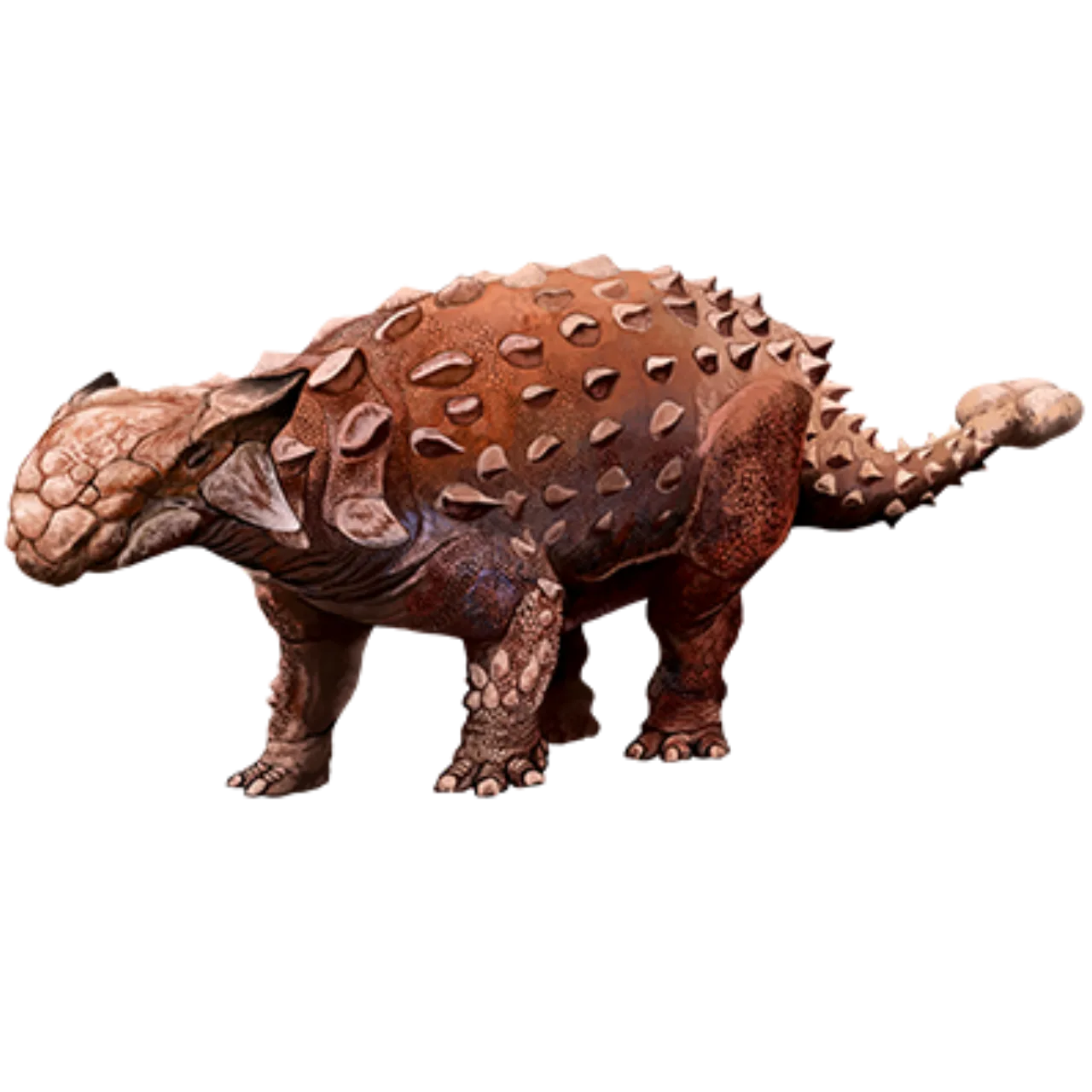 Ankylosaurus