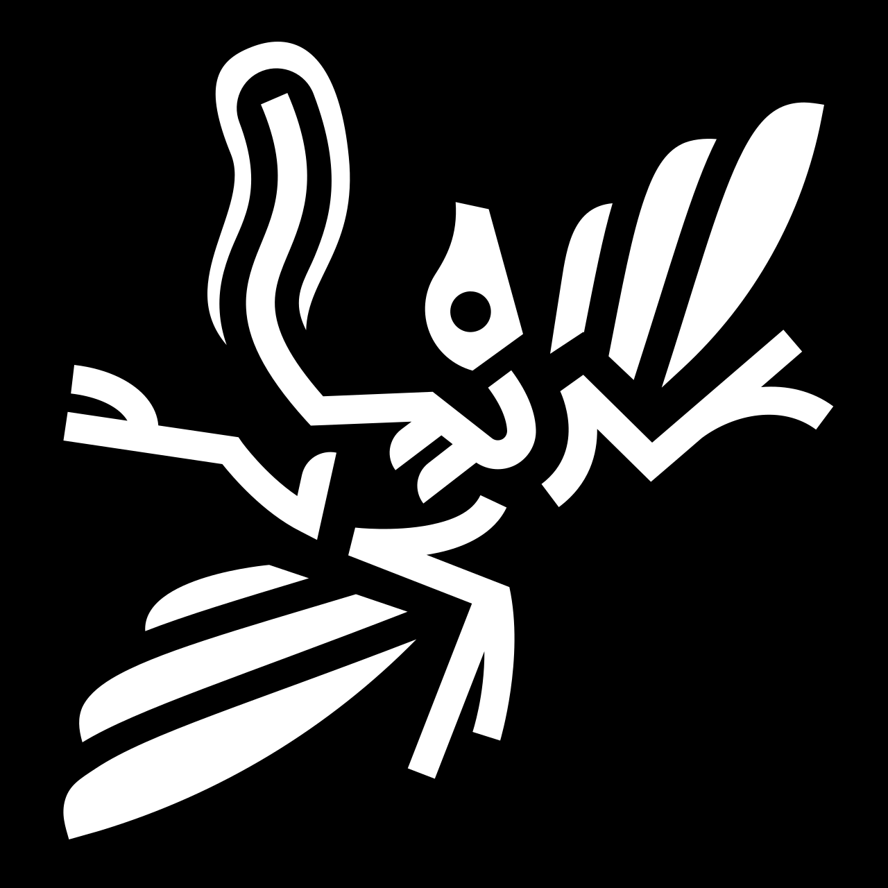 Archaeopteryx