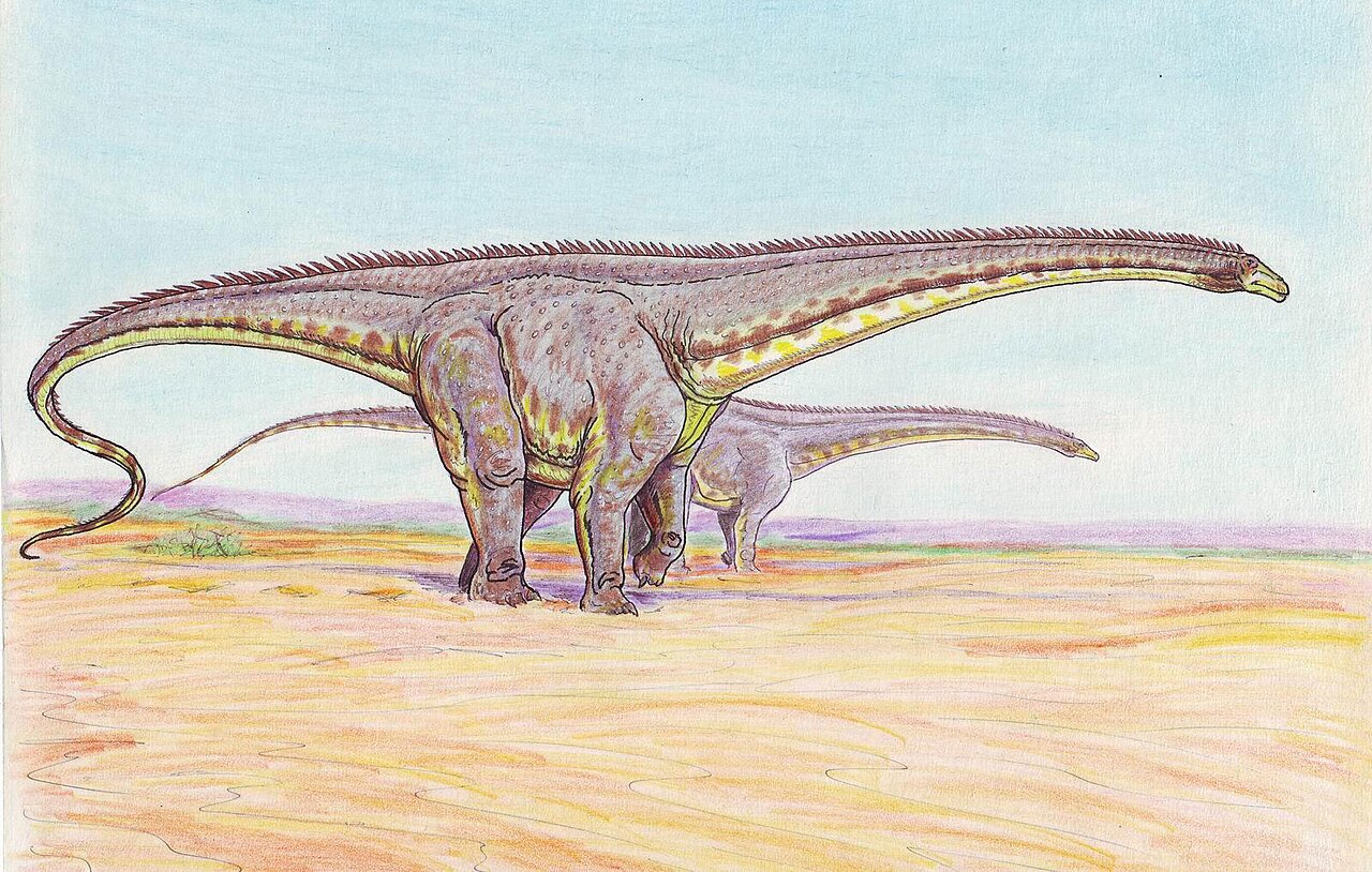 Diplodocus