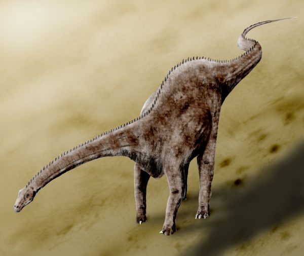 Diplodocus
