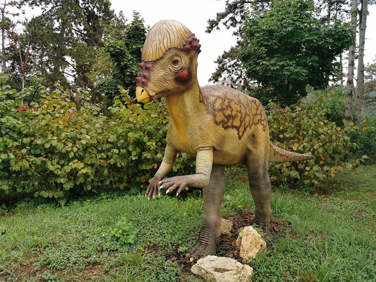 Pachycephalosaurus
