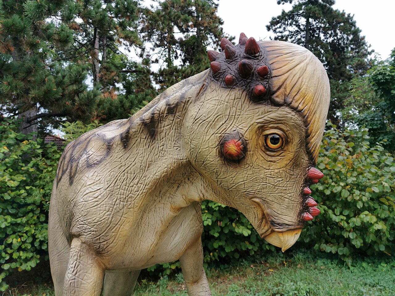 Pachycephalosaurus