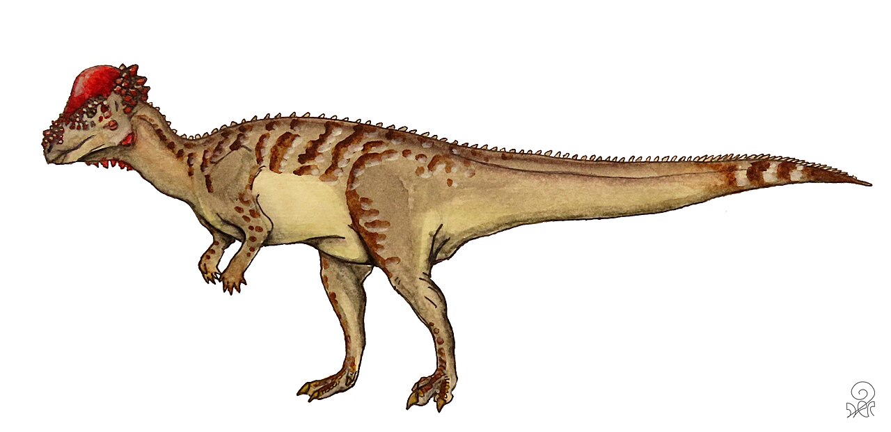 Pachycephalosaurus