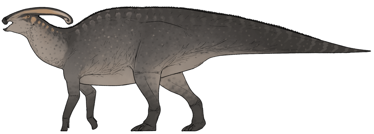 Parasaurolophus