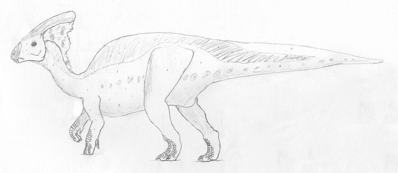 Parasaurolophus