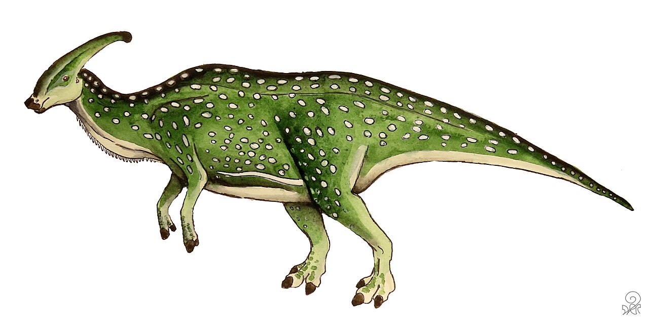 Parasaurolophus