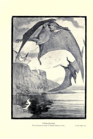 Pteranodon
