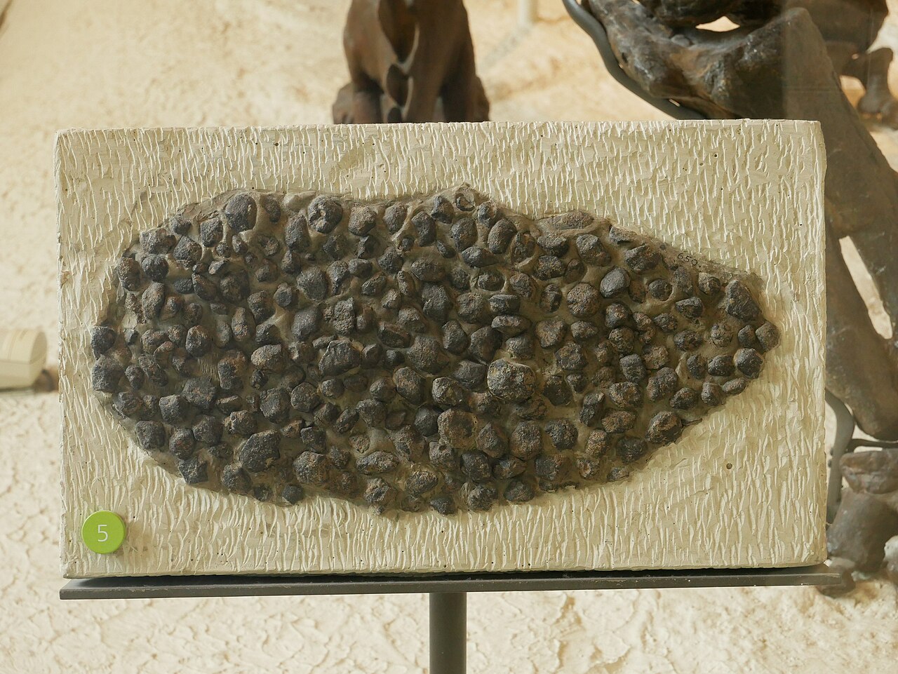 Stegosaurus