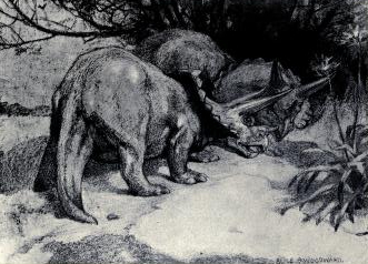 Triceratops
