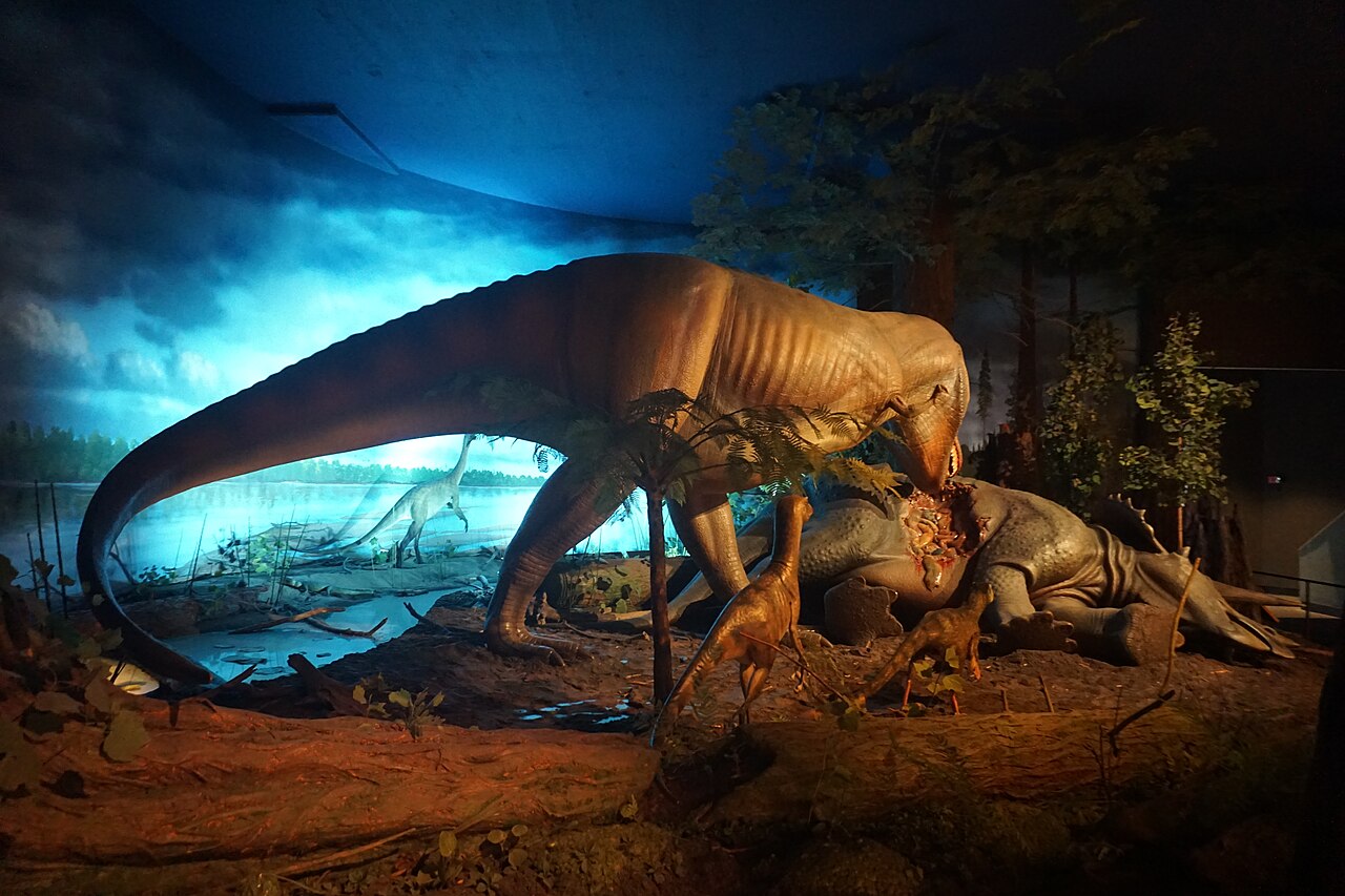 Tyrannosaurus rex