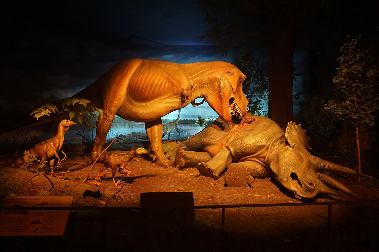 Tyrannosaurus rex