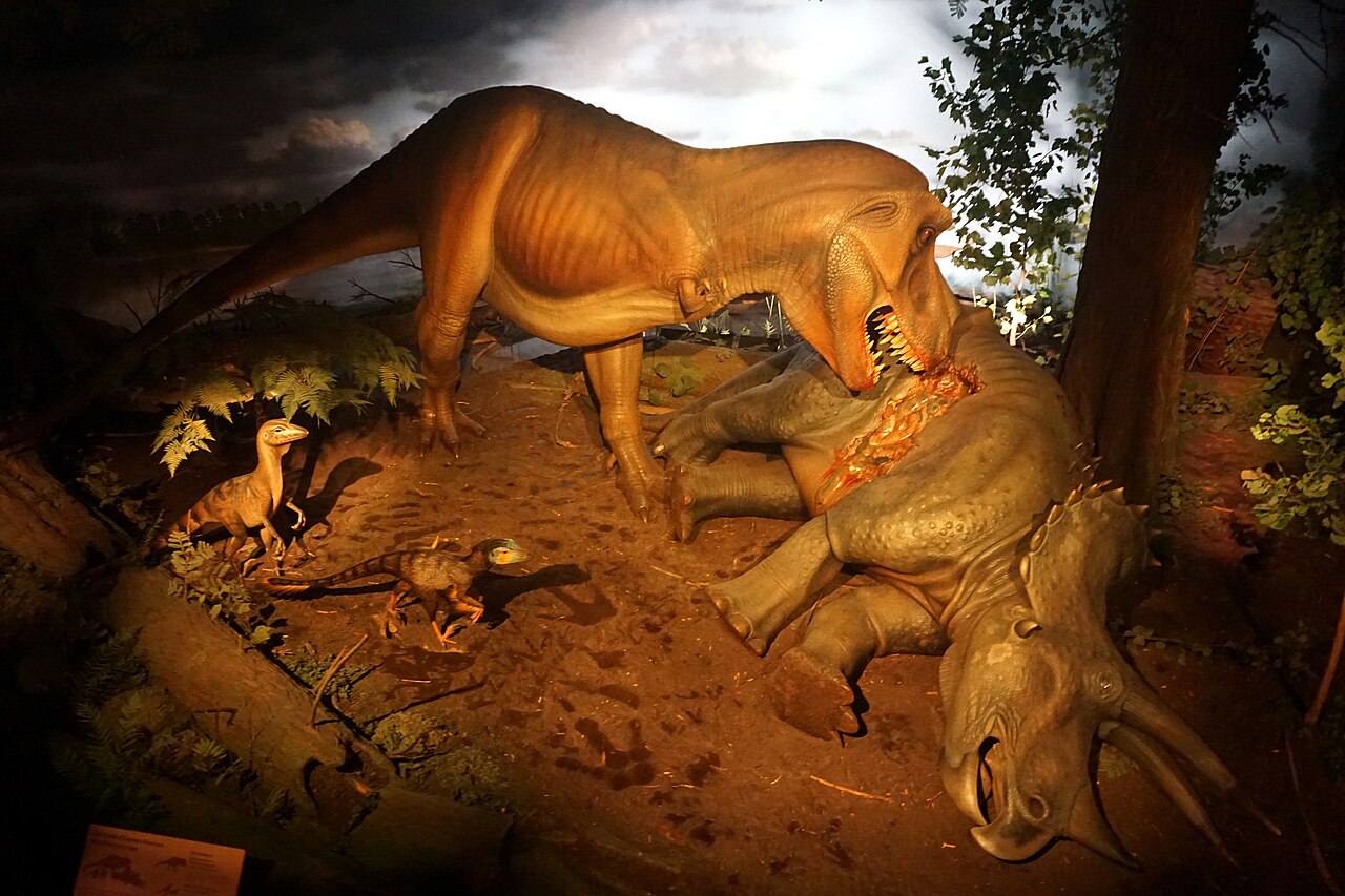 Tyrannosaurus rex