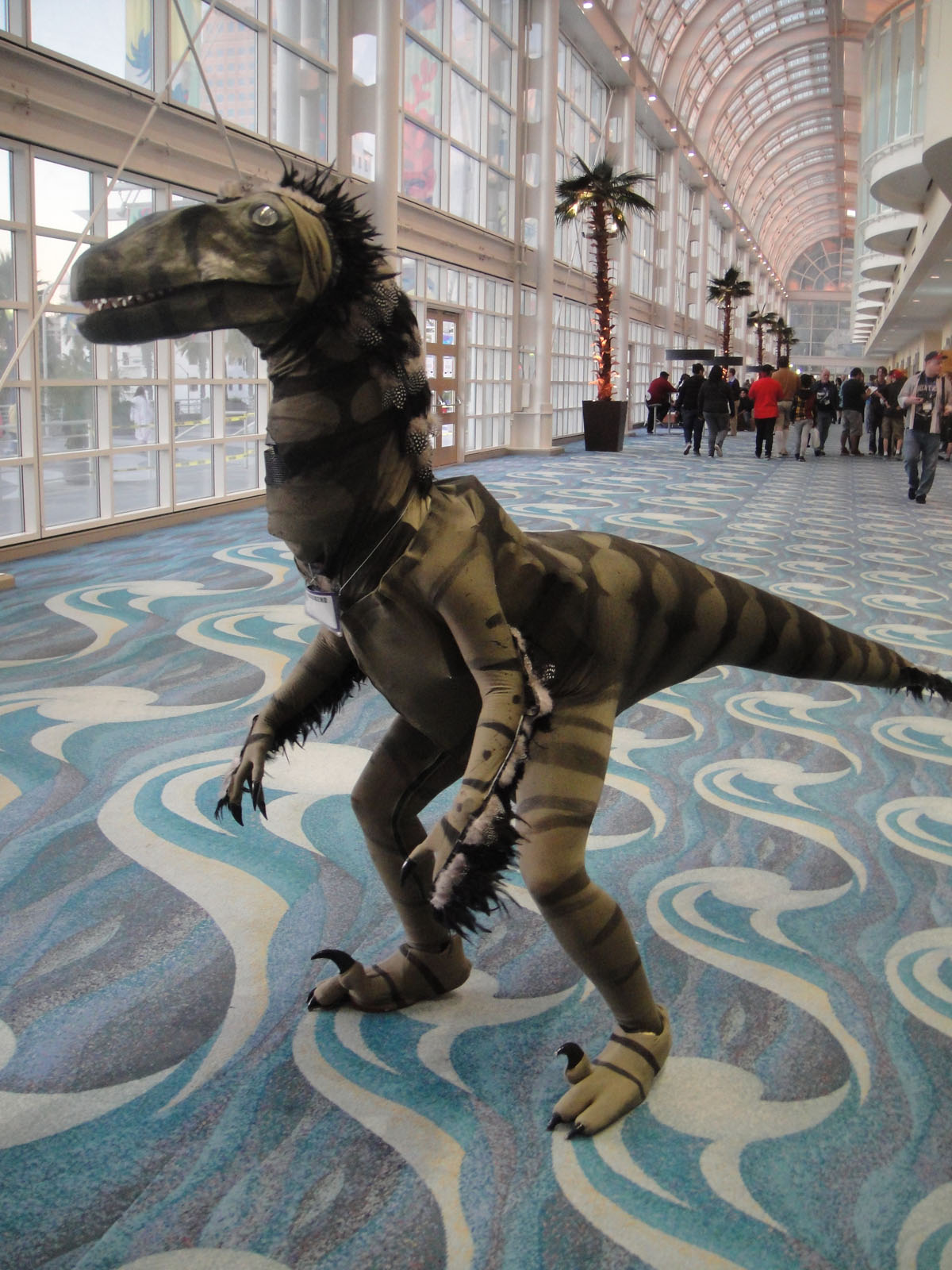Velociraptor